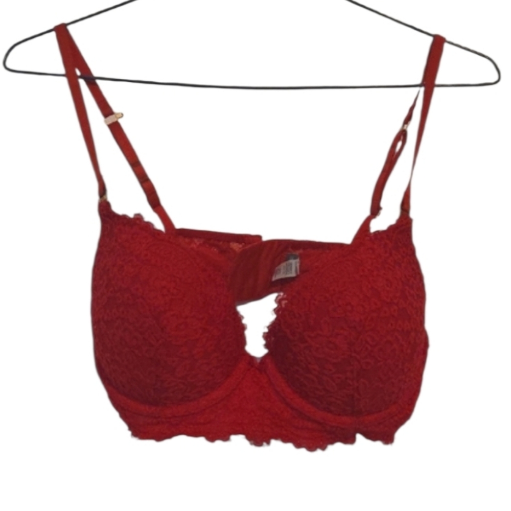 Aerie Real Power Plunge Push Up Eyelash Lace Bra Red